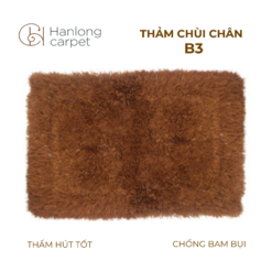 Thảm chùi chân B3 siêu thấm nâu đậm