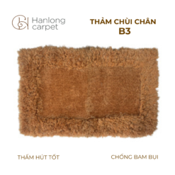 Thảm chùi chân B3 siêu thấm nước nâu nhạt