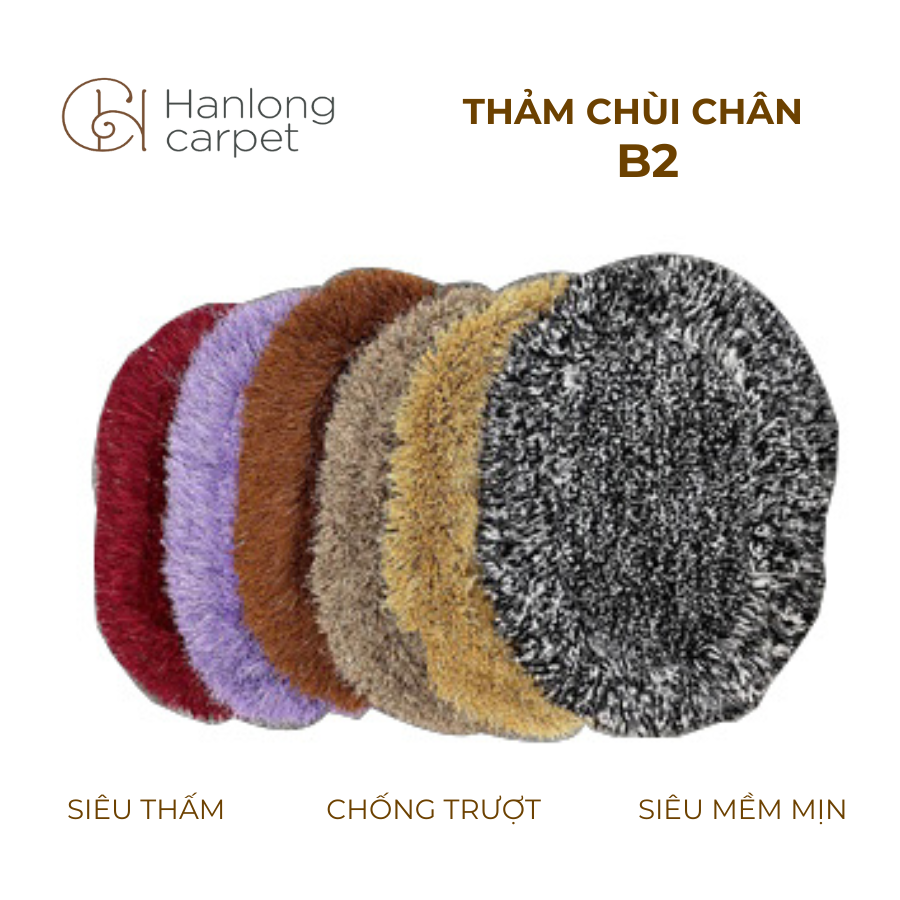 Thảm chùi chân B2 siêu thấm nước