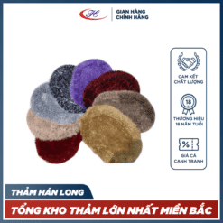 Thảm chùi chân B2 siêu thấm nước 50 - 30 tấm