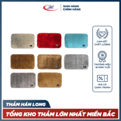Thảm Chùi Chân Hán Long B5 sợi ion bạc