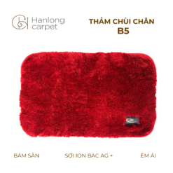 Thảm Chùi Chân Hán Long B5 đỏ