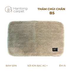 Thảm Chùi Chân Hán Long B5 be trắng