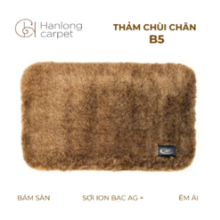 Thảm Chùi Chân Hán Long B5 nâu bò