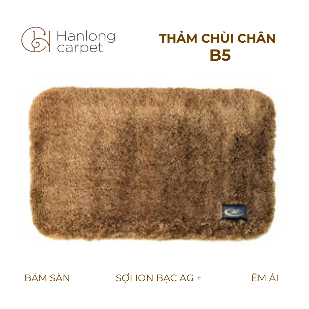 Thảm Chùi Chân Hán Long B5 nâu bò