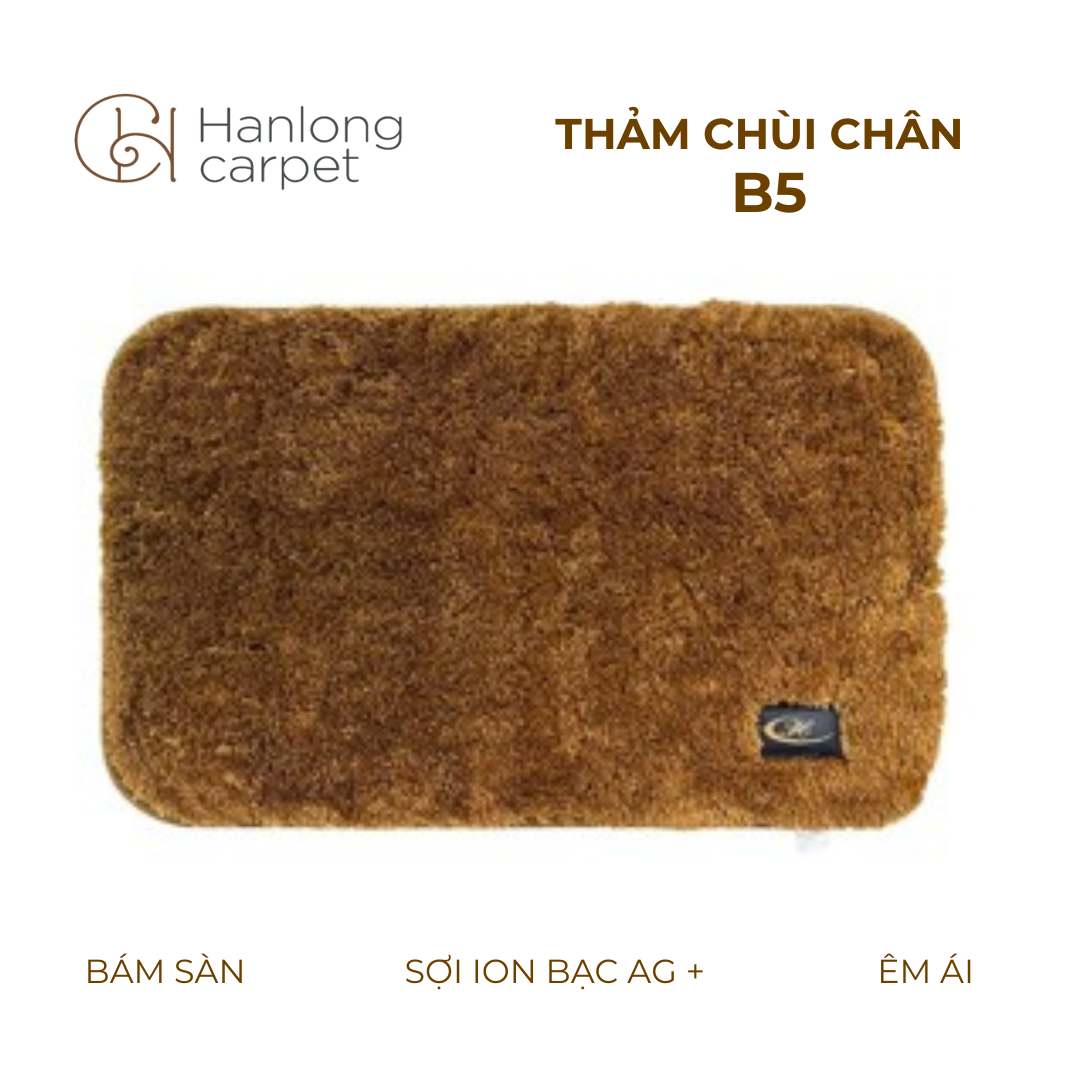 Thảm Chùi Chân Hán Long B5 nâu đậm