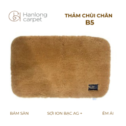 Thảm Chùi Chân Hán Long B5 nâu nhạt