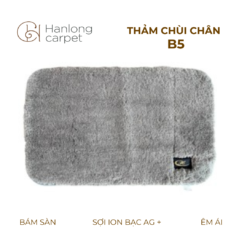 Thảm Chùi Chân Hán Long B5 xám trắng