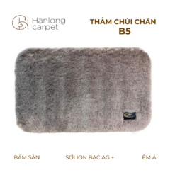 Thảm Chùi Chân Hán Long B5 Xám