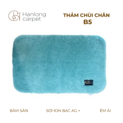 Thảm Chùi Chân Hán Long B5 xanh ngọc
