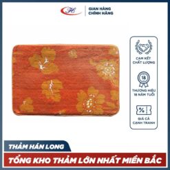 thảm chùi chân b9