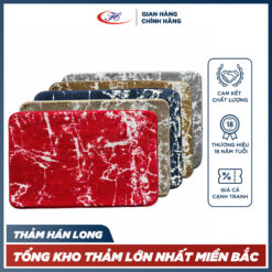 Thảm chùi chân B10 cao cấp