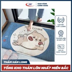 Thảm chùi chân B8B
